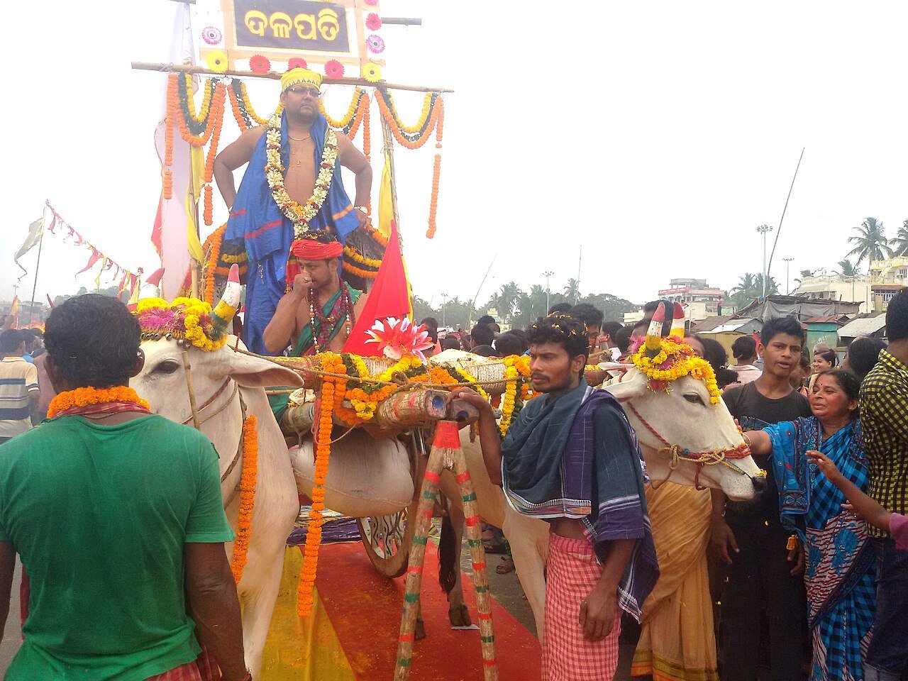 Nabakalebara Ritual: The Sacred Rebirth Mystery of Lord Jagannath Idols