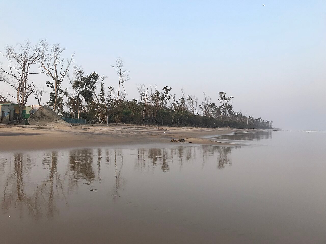 Balighai Beach & Olive Ridley Sea Turtles Sanctuary Near Puri